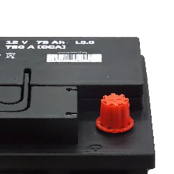 Аккумулятор CHEN 75 Ач о.п. Фото 1